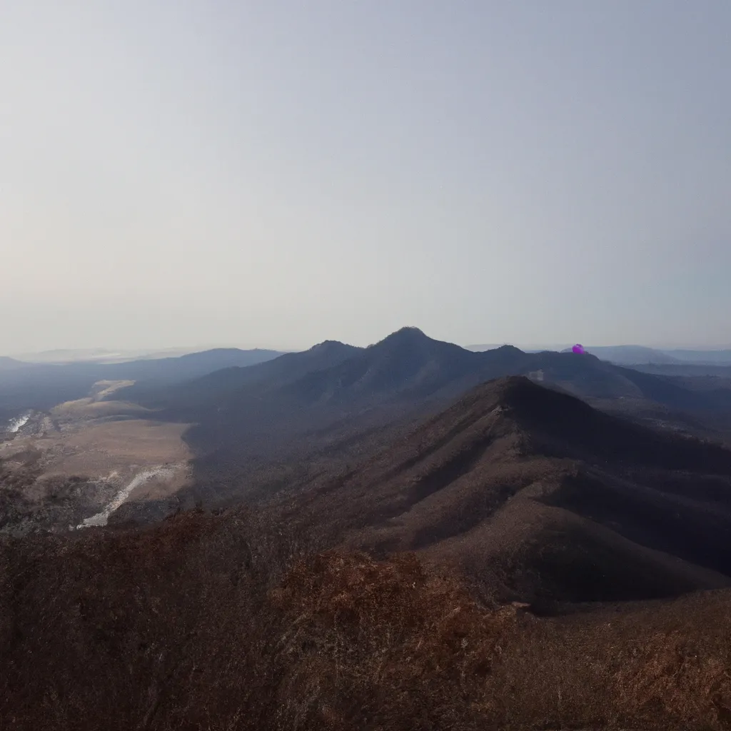 컨텐츠고리 분야 특화 지식재산권 및 특허 출원 가이드